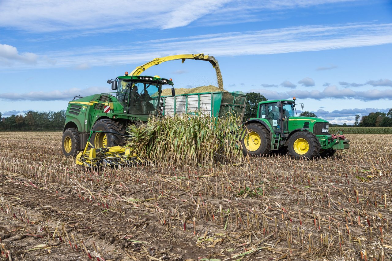 Bild 177 - Maisernte